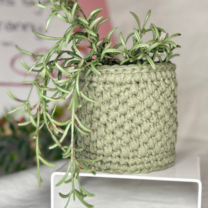 Plant Pot Holder - EarthTone Essentials Collection